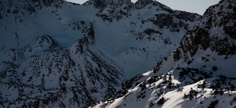 Пищевая добавка E171 Диоксид титана: польза и вред, норма содержания в продуктах и применение