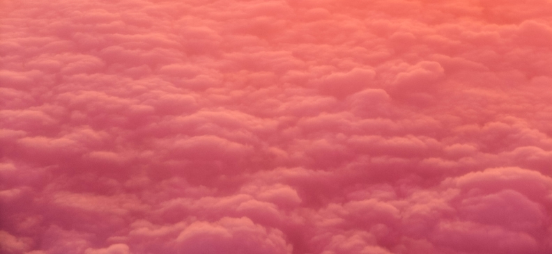 Пищевая добавка E202 Сорбат калия: польза и вред, норма содержания и применение в продуктах