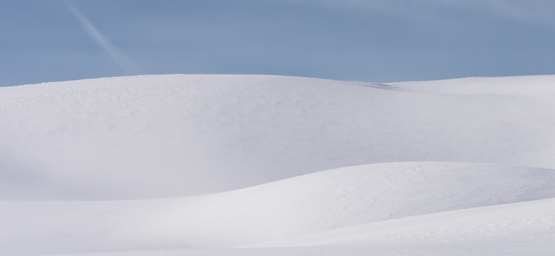 Пищевая добавка E431 Полиоксиэтилен 40 стеарат: польза и вред, норма содержания в продуктах и применение