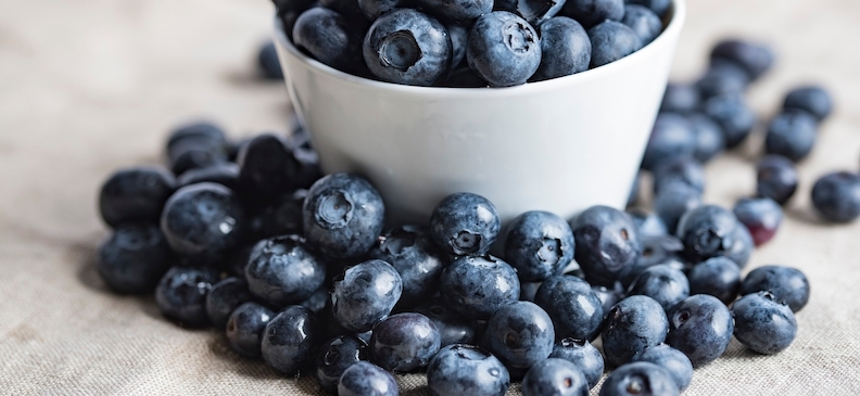 Черника: польза и вред, применение и рецепты, детям и взрослым, продукт для похудения