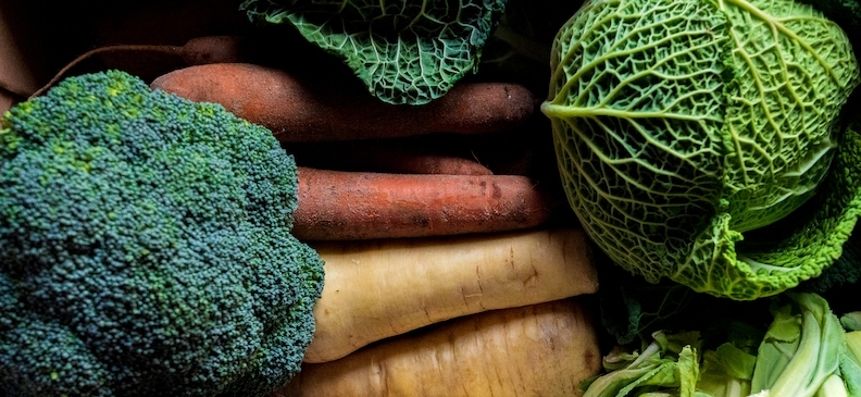 Белокочанная капуста: польза и вред, рекомендации по употреблению и использованию в кулинарии