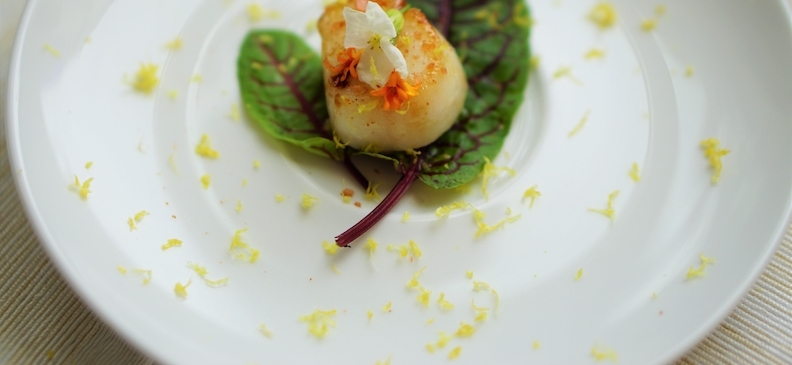 Щавель: полезные свойства, потребление и приготовление блюд с использованием этого продукта