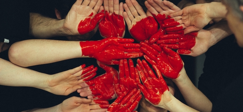 Бычье сердце: польза и вред, способы приготовления и использования