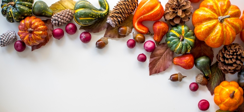 Дуку: полезные свойства, применение и возможные риски употребления