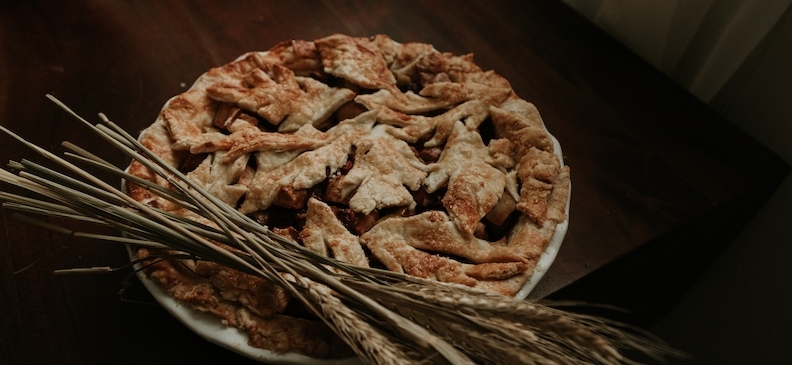 Лансиум домашний: полезные свойства, вред и применение