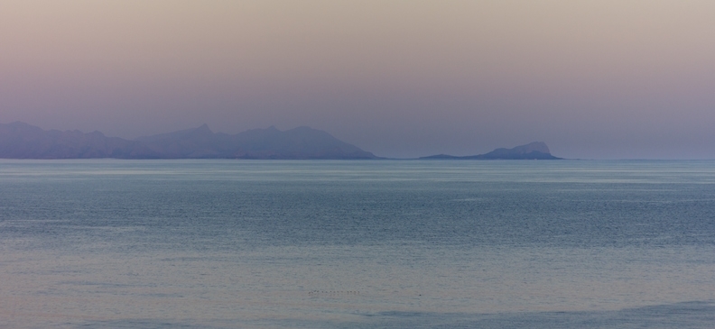 Ложный мангустан: полезные свойства и вред для здоровья. Как использовать продукт и можно ли его употреблять для похудения?