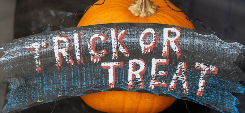 Малабарская тыква: полезные свойства, применение и польза для здоровья