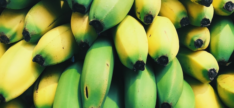 Продукт Рамбай: польза и вред, применение и рецепты, возможность похудения