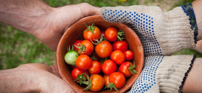 Диета по хлебным единицам (брокколи, рис, капуста, гречка): принципы, разрешенные и запрещенные продукты, меню на 14 дней, результаты и применение для похудения.