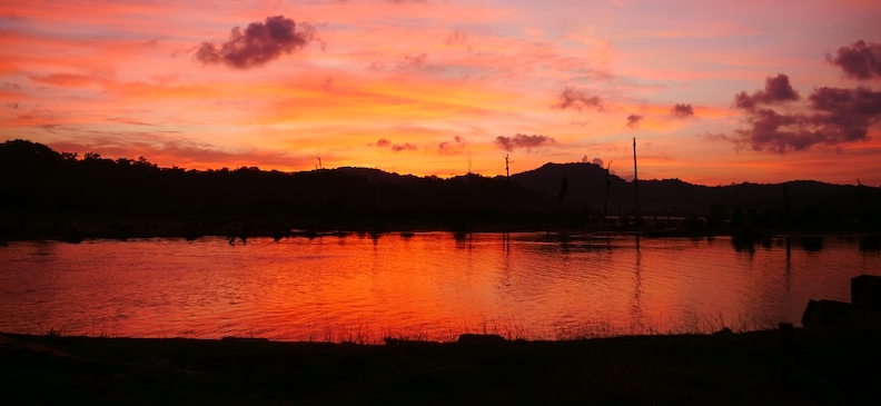 Вегетарианство: польза и вред, ограничения в рационе и как избежать недостатка питательных веществ