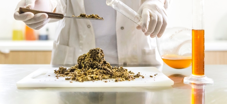 Продукты для веганов: как сделать правильный выбор?